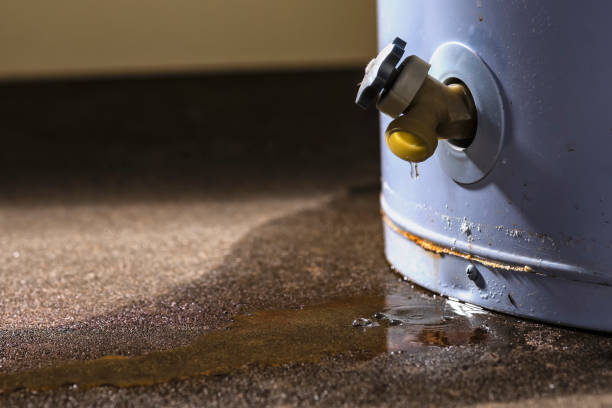 Best Fire Damage Restoration  in Bruceville Eddy, TX