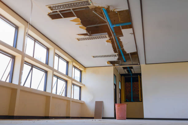 Best Professional water damage repair  in Bruceville Eddy, TX