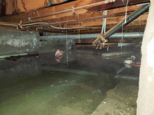 Best Water damage mitigation services  in Bruceville Eddy, TX