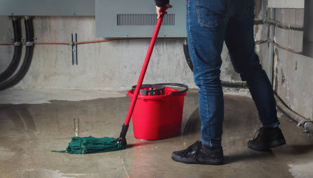 Best Water damage restoration near me  in Bruceville Eddy, TX