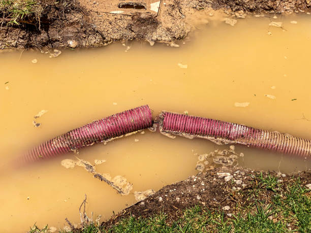 Best Commercial water damage restoration  in Bruceville Eddy, TX